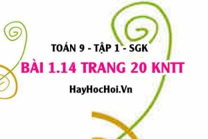 Bài 1.14 trang 20 Toán 9 tập 1 Kết nối tri thức SGK: Hệ Phương Trình Bậc Nhất